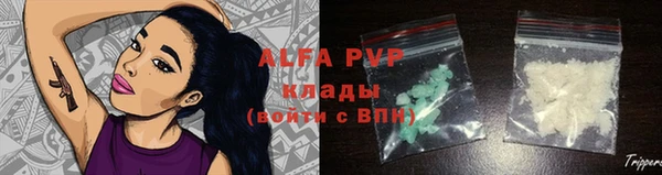 шишки Алексеевка