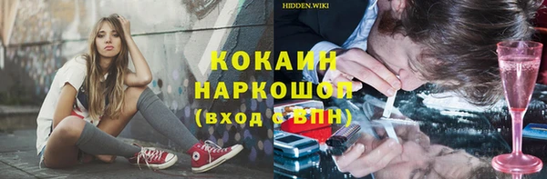 стафф Алексин