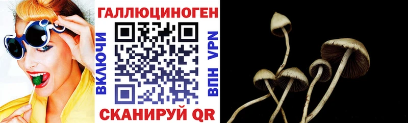 Псилоцибиновые грибы Magic Shrooms  Циолковский 